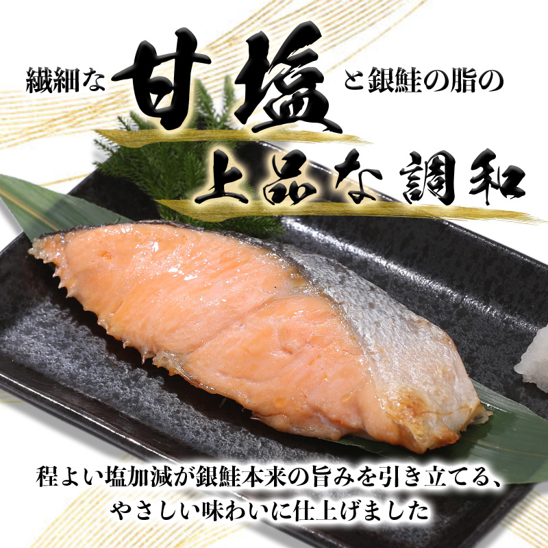 a10-1008　銀鮭 甘塩 10切入（個包装真空パック）