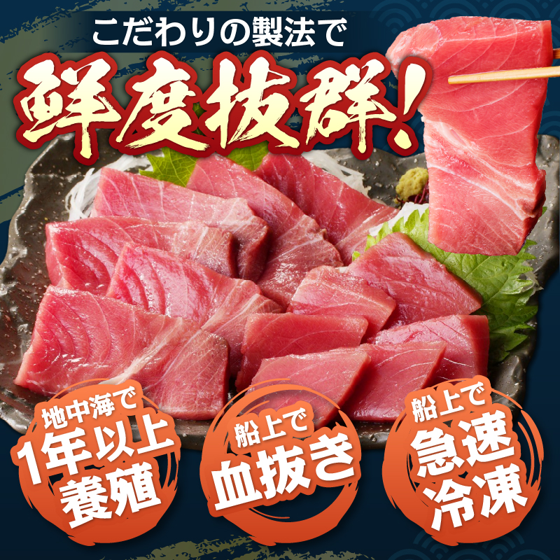 a18-105　本マグロ トロ ブツ 1kg