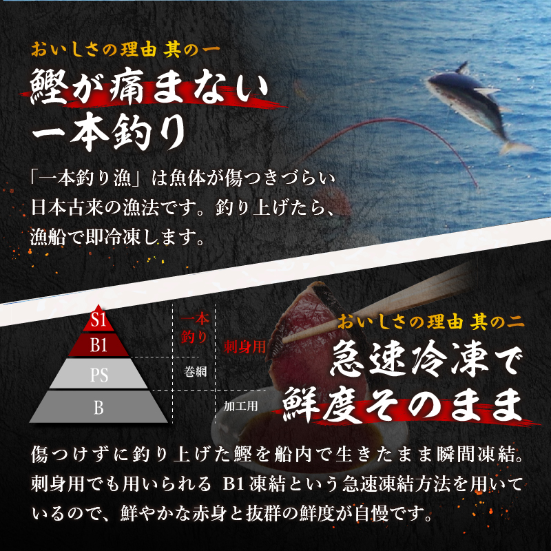 a10-1066　日光丸限定 一本釣り 鰹たたき（ハーフカット）約1.5kg