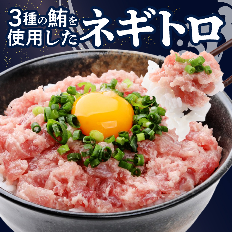 a10-1289　ネギトロ100g×16パック 合計1.6kg