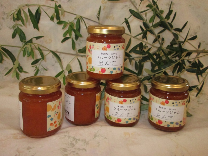 a10-1255　あんず 無添加 手作り ジャム 5本セット