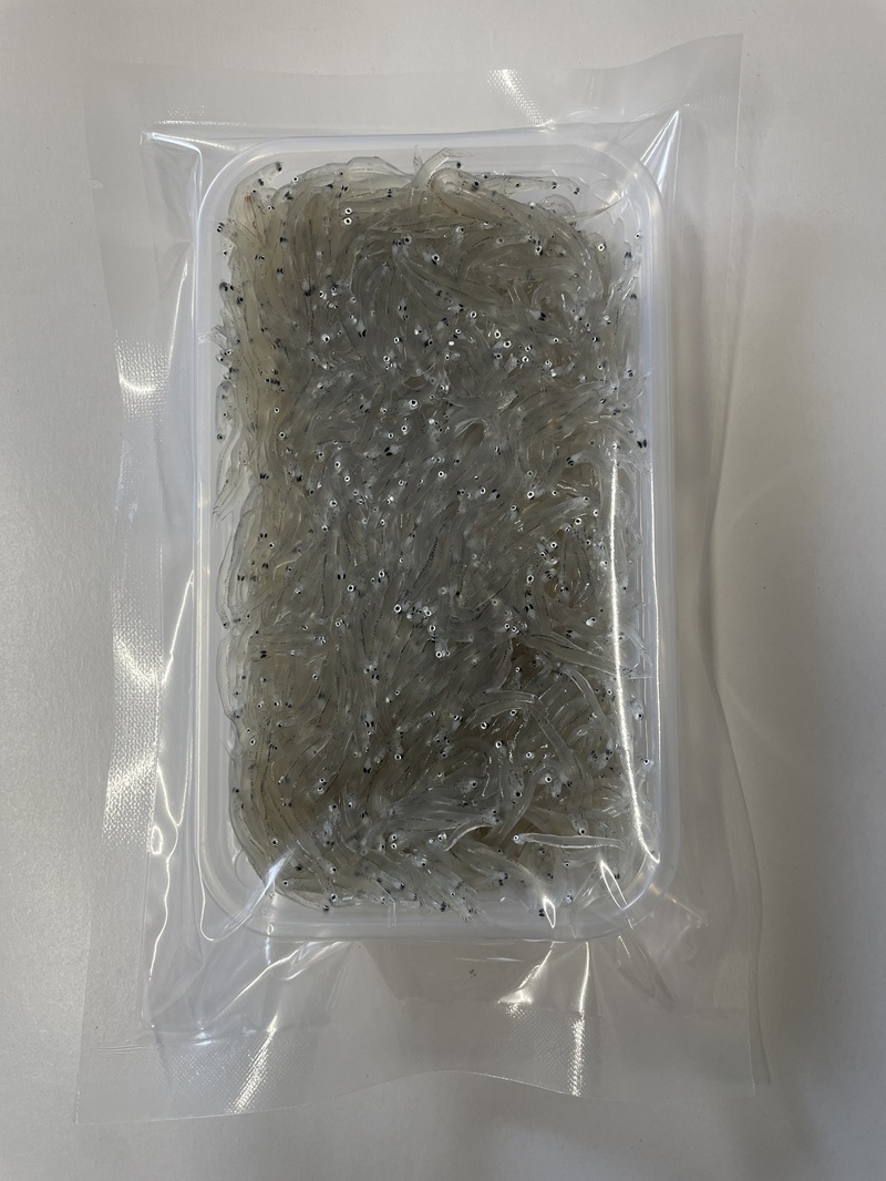 a10-1266　静岡県産お刺身用生しらす：100g×6パック　合計600g