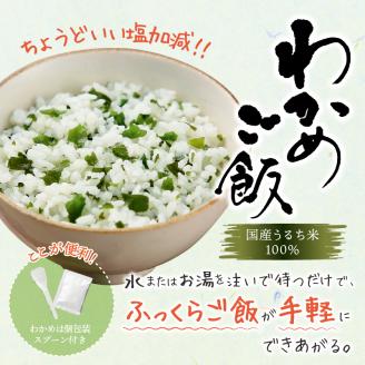 a10-328 非常食 5年 保存 わかめ ご飯 100g 10食 防災 備蓄