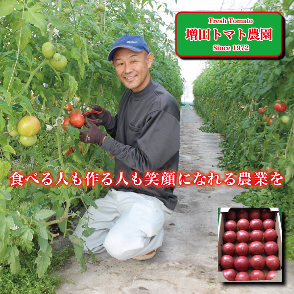 a11-120　トマト　詰合せ　約2.7kg　農園　直送　新鮮　農家