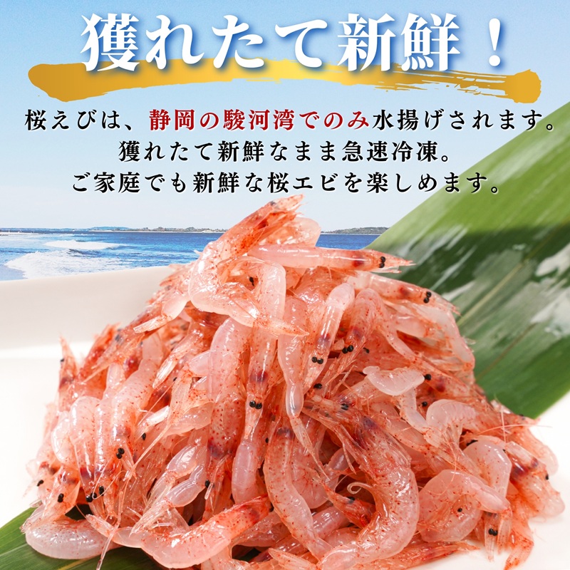 a10-679　焼津特選 生桜えび100g×3