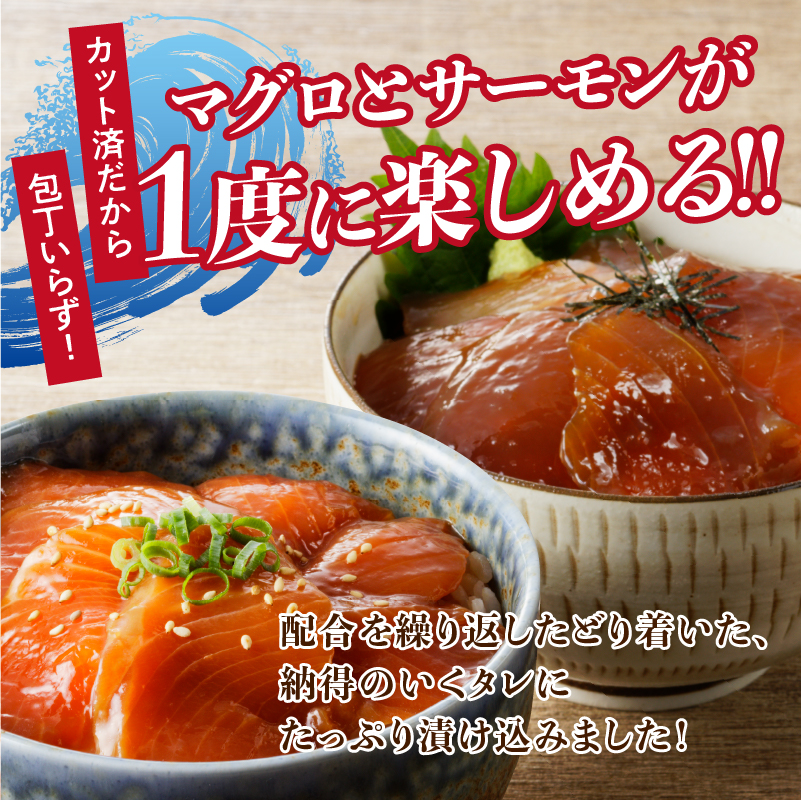 a10-697　ビンチョウ まぐろ ＆ サーモン 漬け 2種盛り 10パック