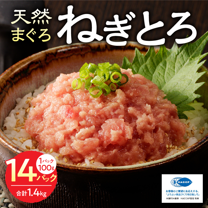 a12-169　焼津の天然まぐろたたき 鉢100％ねぎとろ F7