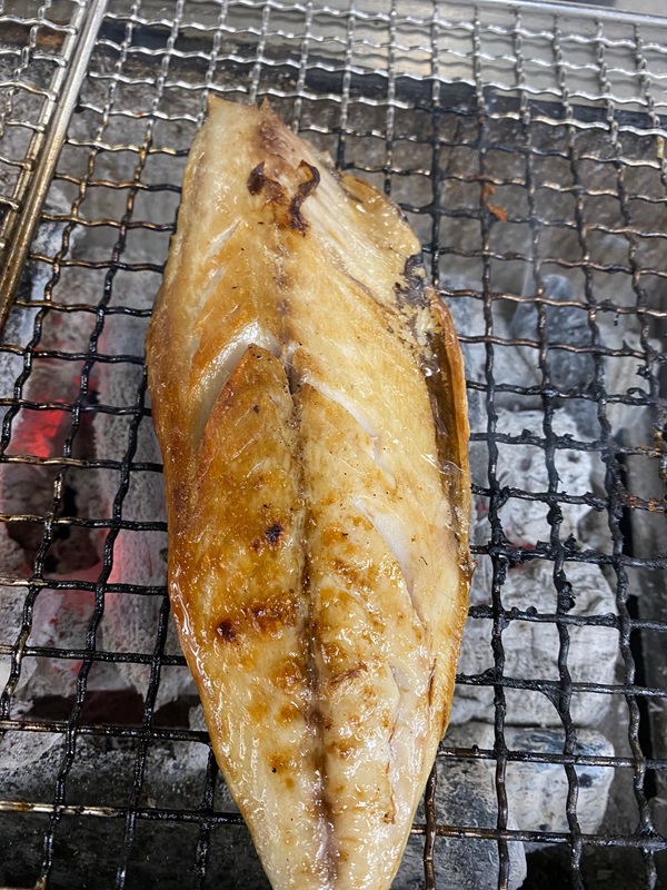 a15-669　【焼津ひもの食堂】焼いてあるとろさばひもの10枚