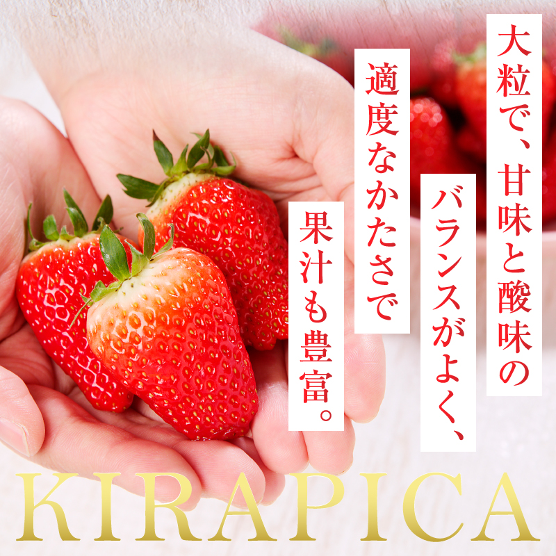 a15-472　いちご静岡限定「きらぴ香」約1.6kg 計6パック