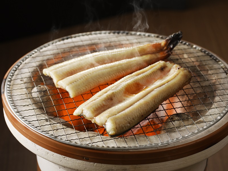 a15-647　珍しい「ウナギのひもの」【静岡産】