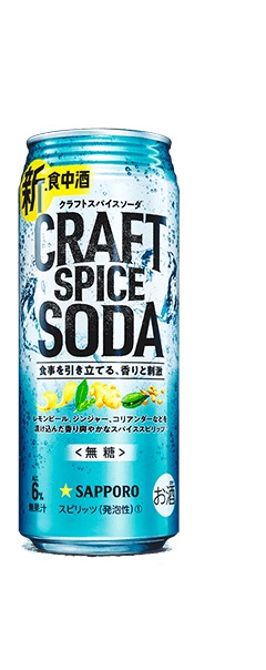 a17-121　サッポロ クラフトスパイスソーダ 500ml×24本