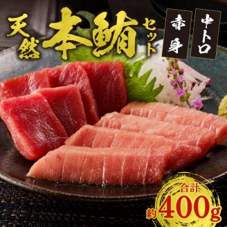 a17-020　『まぐろの魚二』天然本鮪中トロ・赤身約400gセット