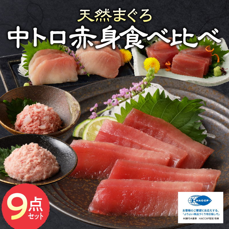 a20-365　マグロ 中トロ 赤身 ねぎとろ S6