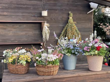 a21-055　季節のおまかせ寄せ植え