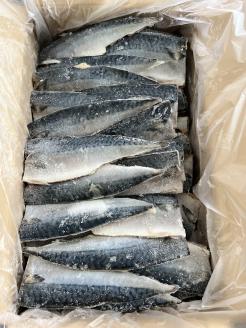 a24-033　5.0kg以上！ 国内産 無添加 さば フィレ