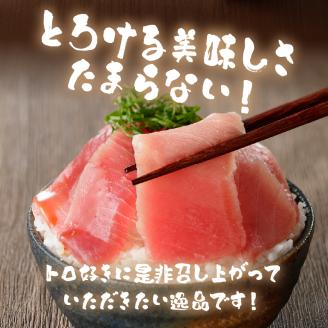 a25-006　南鮪中トロ　赤身セット約1.35kg　マルコ水産