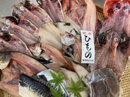 a30-176　【チルドでお届け】朝干しひものセット10種以上！