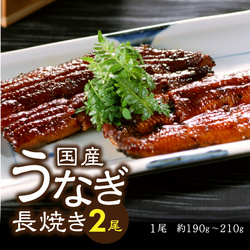 a35-017　家計応援　国産 うなぎ 鰻　バチマグロ ビンチョウマグロ まぐろ たたき　総重量約1.9kg