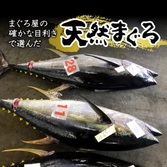 a30-207　【定期便 3回】 天然鮪 + ネギトロ 個包装20食セット【定期便】