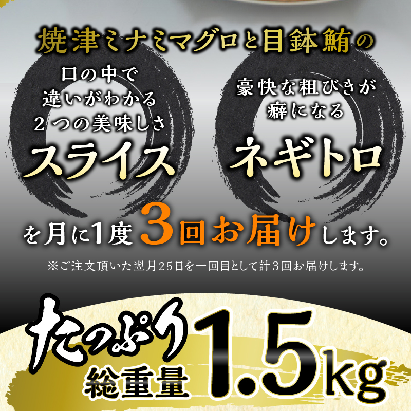 a30-232　海からの贈り物 焼津天然まぐろ三昧(3回お届け)定期便