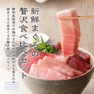 a31-006　まぐろ 大トロ 中トロ 赤身 焼津 マグロ セット S7