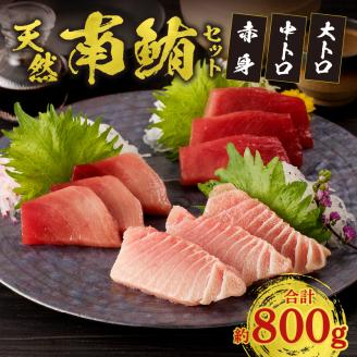 a40-076　『鮪の魚二』天然南鮪大トロ中トロ赤身約800gセット