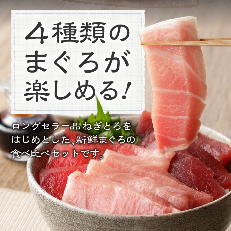 a55-010　マグロ 大トロ 中トロ ねぎとろ 詰合せ セット S9