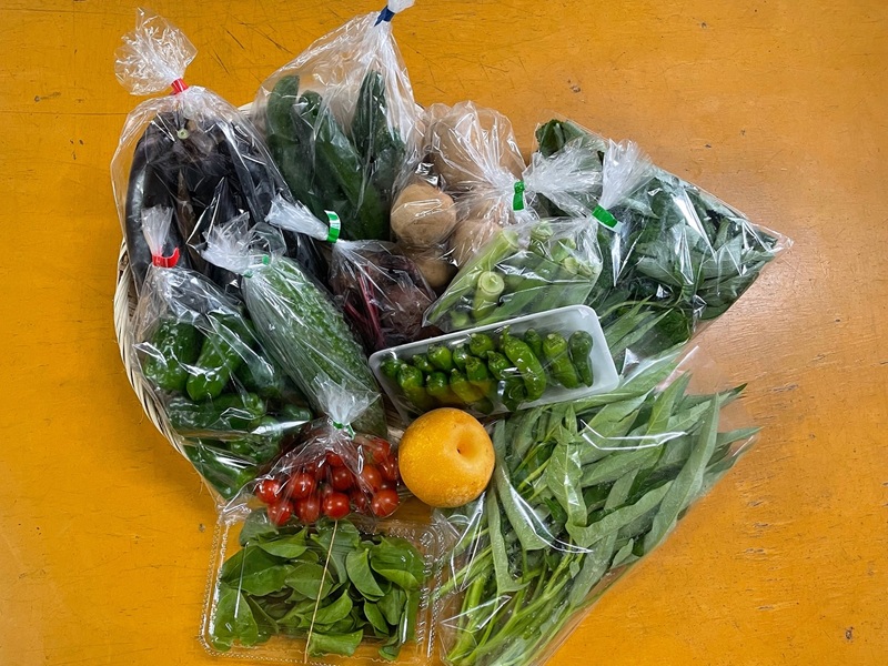 a60-031　【定期便 全6回】ジモベジ 野菜 セット