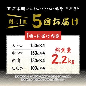 b500-011　【定期便5回】天然本鮪 一本分を加工してお届け