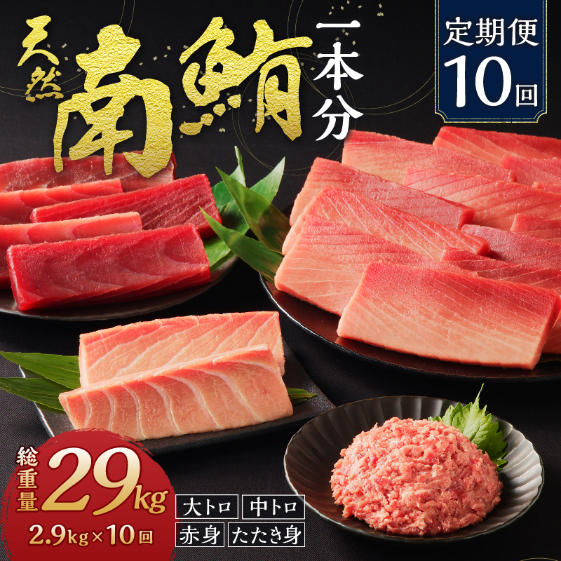 m10-001　【定期便10回】南鮪 1本 総重量約29kg（各月約2.9kg）