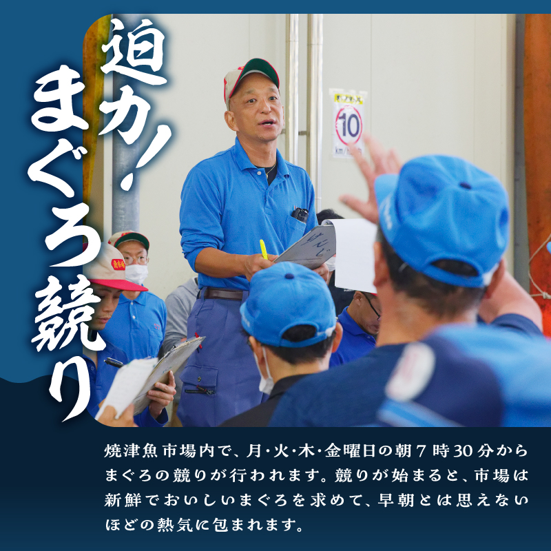 a31-011　焼津ミナミマグロスキンレスセット