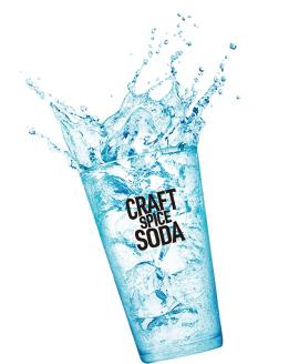 T0077-1307　【定期便7回】サッポロ クラフトスパイスソーダ 350ml×24本