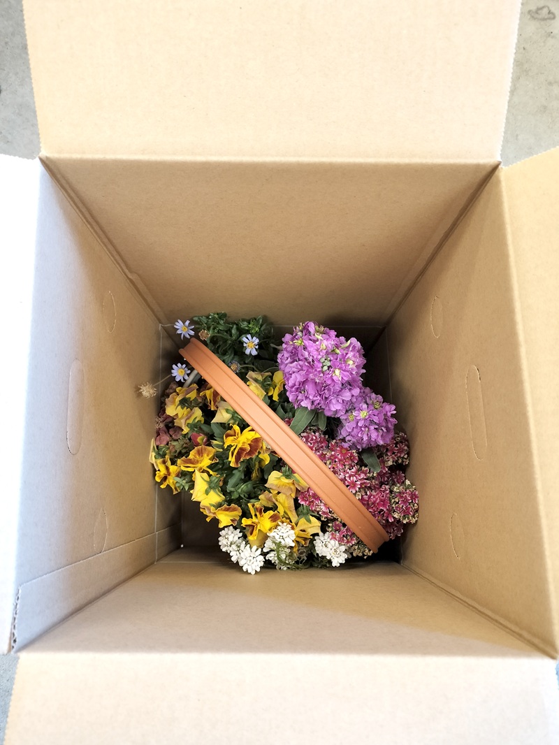 a10-1174　季節のおまかせ寄せ植えバスケット