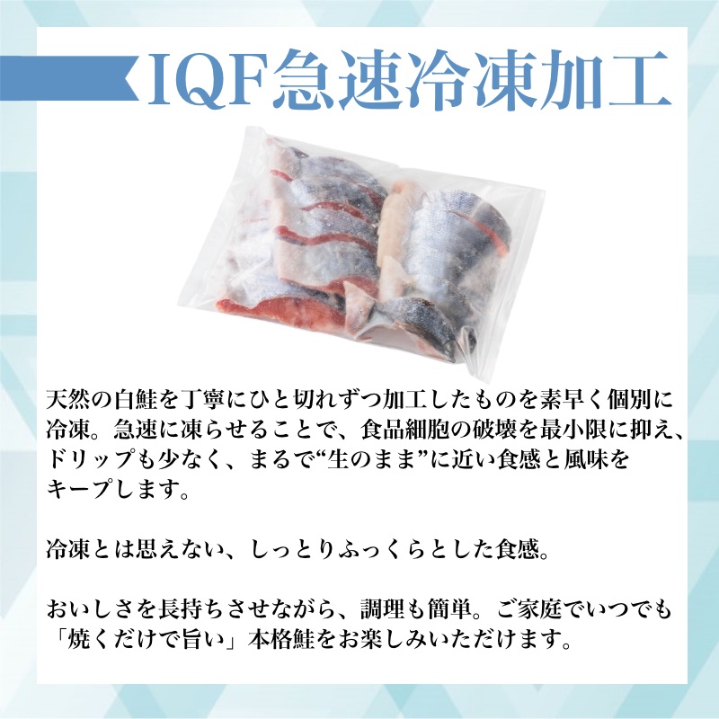 a10-1177　訳あり ！ 鮭 切身 1.2kg（便利なジッパーパック入り）
