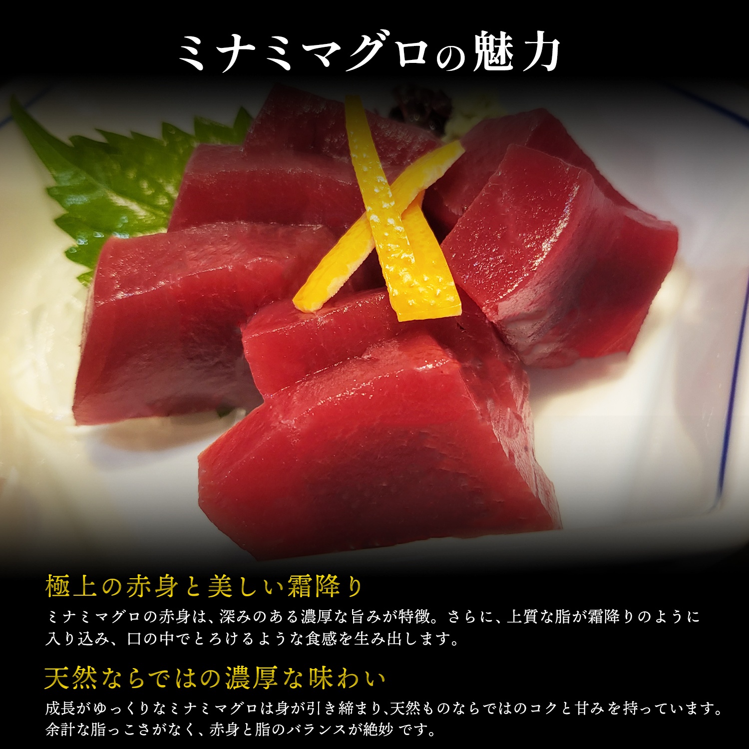 a10-1281　天然 ミナミマグロ 赤身 柵 刺身 焼津 海の極 計400g 200g×2