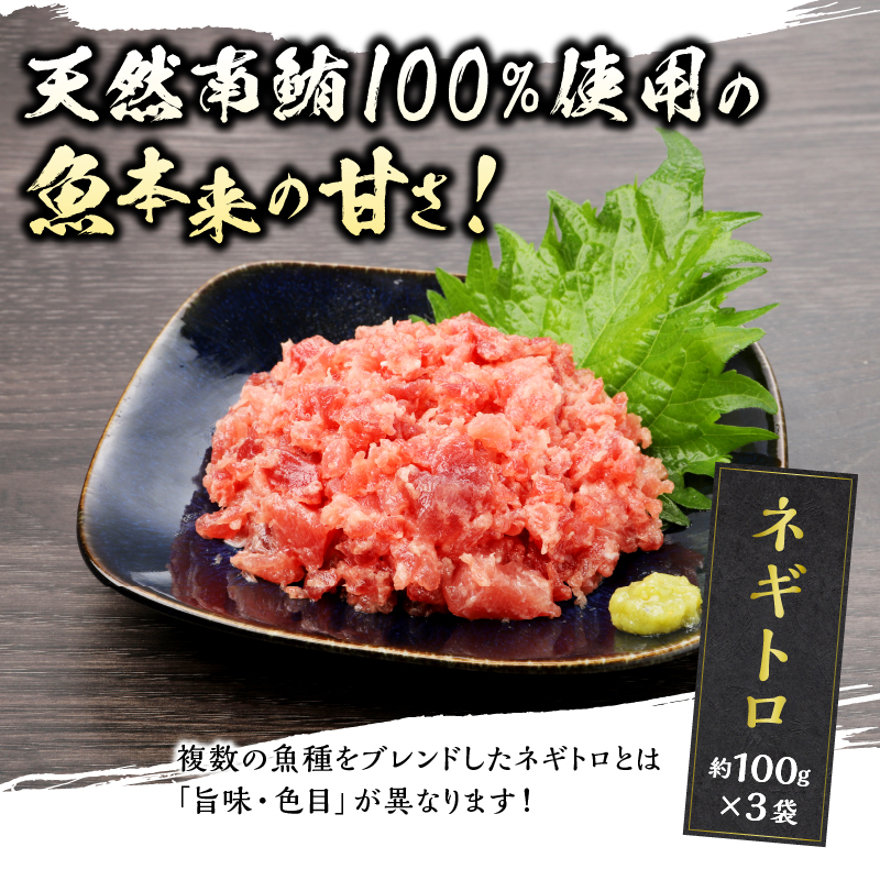 a10-359　簡単解凍！ご飯に乗せるだけの焼津直送お手軽南鮪