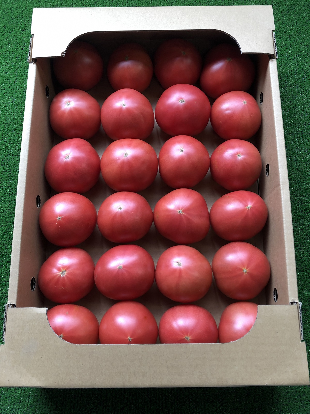 a11-120　トマト　詰合せ　約2.7kg　農園　直送　新鮮　農家