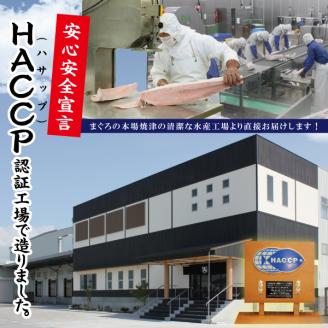 a10-765　天然みなみまぐろ 背ブロック 500g