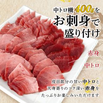 a10-859　訳あり 天然 南鮪 中トロ 約400g