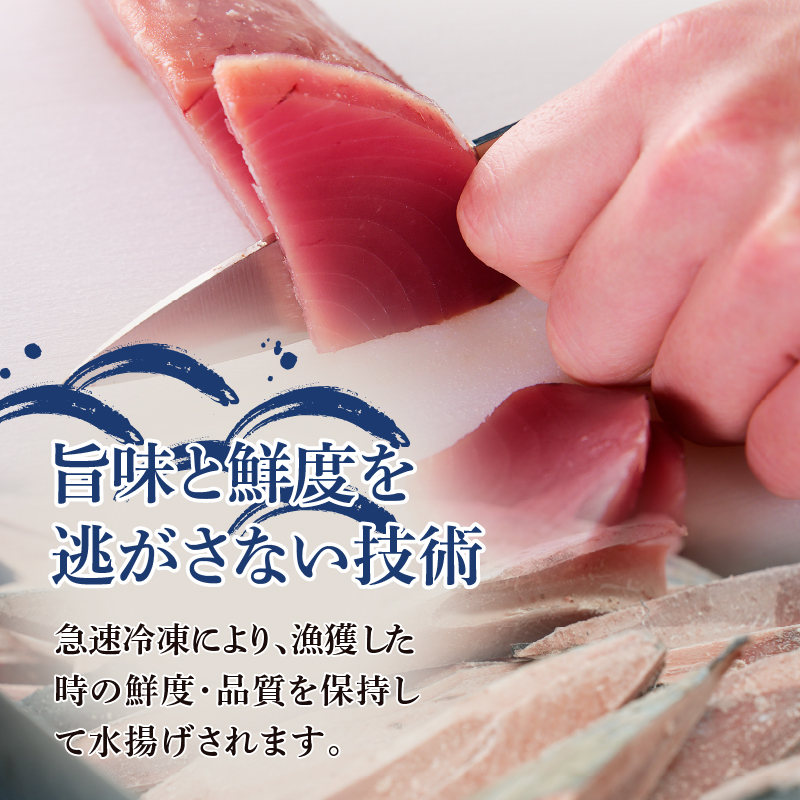 a10-864　一本釣り刺身用かつお