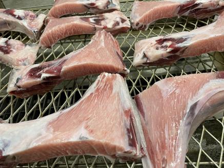 a10-895　焼いてある！ 鮪 カマトロ の 干物