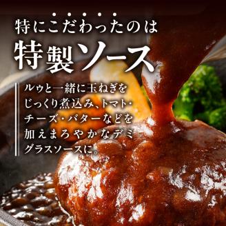 a10-966　デミグラスハンバーグ 140g×12袋