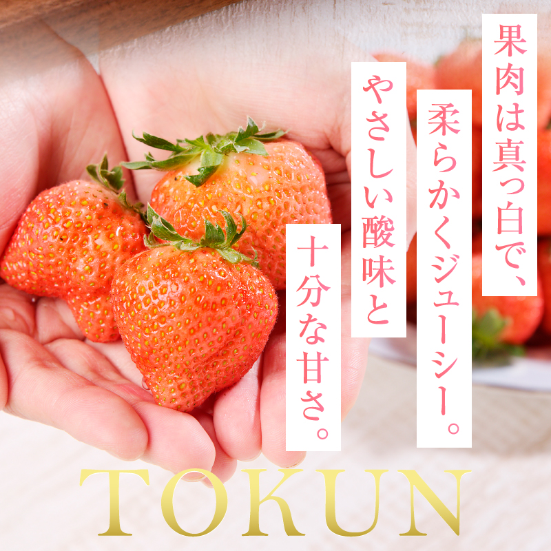 a10-989　いちご 桃薫(とうくん）大粒1パック（約300g）