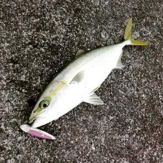 a14-033　ぶるぶる80 フィッシング ルアー 2個 セット 釣り 具