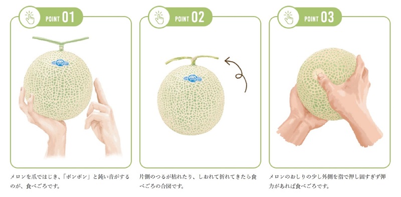 a16-148　メロン 温室 アローマ 果物 ハウス 白等級 1玉 GABA