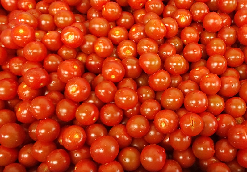 a17-129　トマトおでん（260g） 5パック