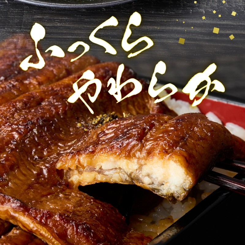 a20-226　静岡産うなぎ「静岡ご鰻悦」