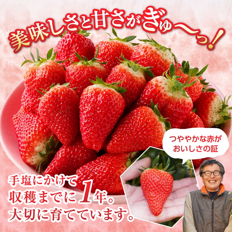 a20-267　いちご 静岡 限定 「 きらぴ香 」計約2.2Kg 8パック