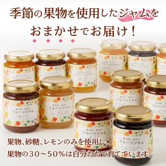 a20-272　無添加無農薬手作りジャム12本