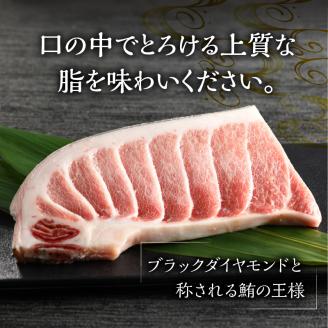 a20-373　焼津 本マグロ 大トロ 1本約250g 冷凍 F1